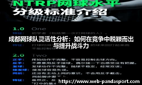 成都网球队灵活性分析：如何在竞争中脱颖而出与提升战斗力